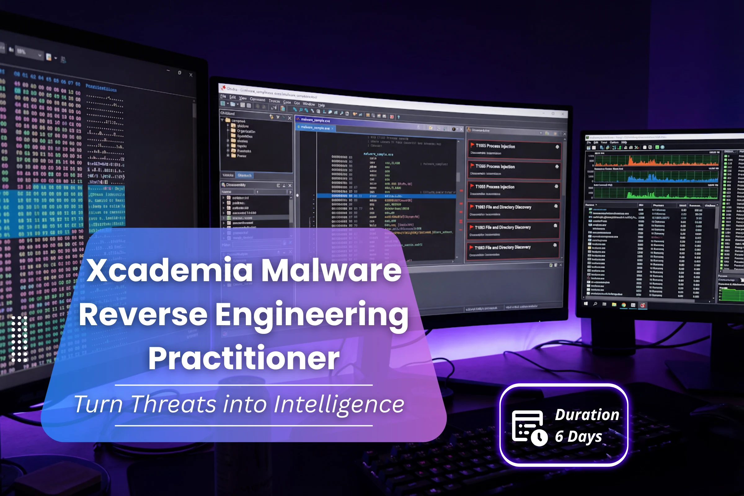 Xcademia Malware Reverse Engineering Practitioner