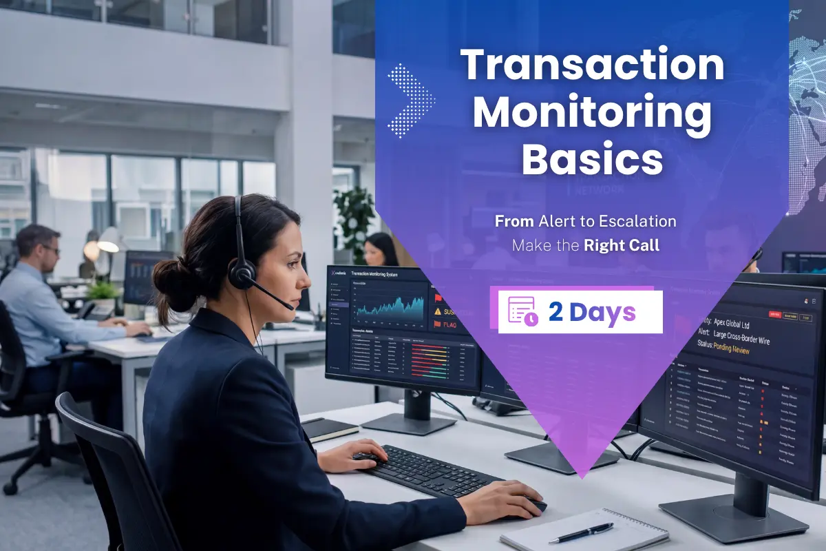 Transaction Monitoring Basics